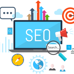 SEO services company in delhi offers tailored strategies