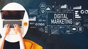 Seo Institute in Noida