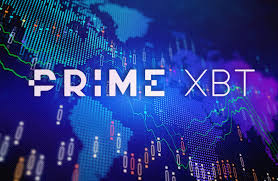 Comprehensive FAQ Guide to PrimeXBT Everything You Need to Know Comprehensive FAQ Guide to PrimeXBT Everything You Need to Know